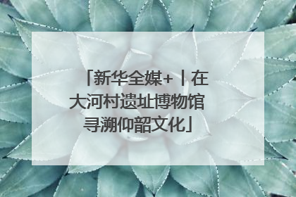 新华全媒+丨在大河村遗址博物馆寻溯仰韶文化